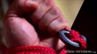 A bit of bondage to start your day!